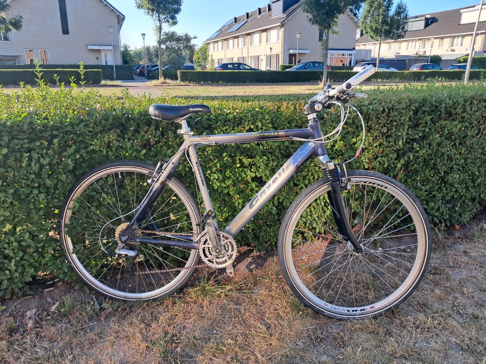 Zeer nette en zeer goede gazelle, Ophalen