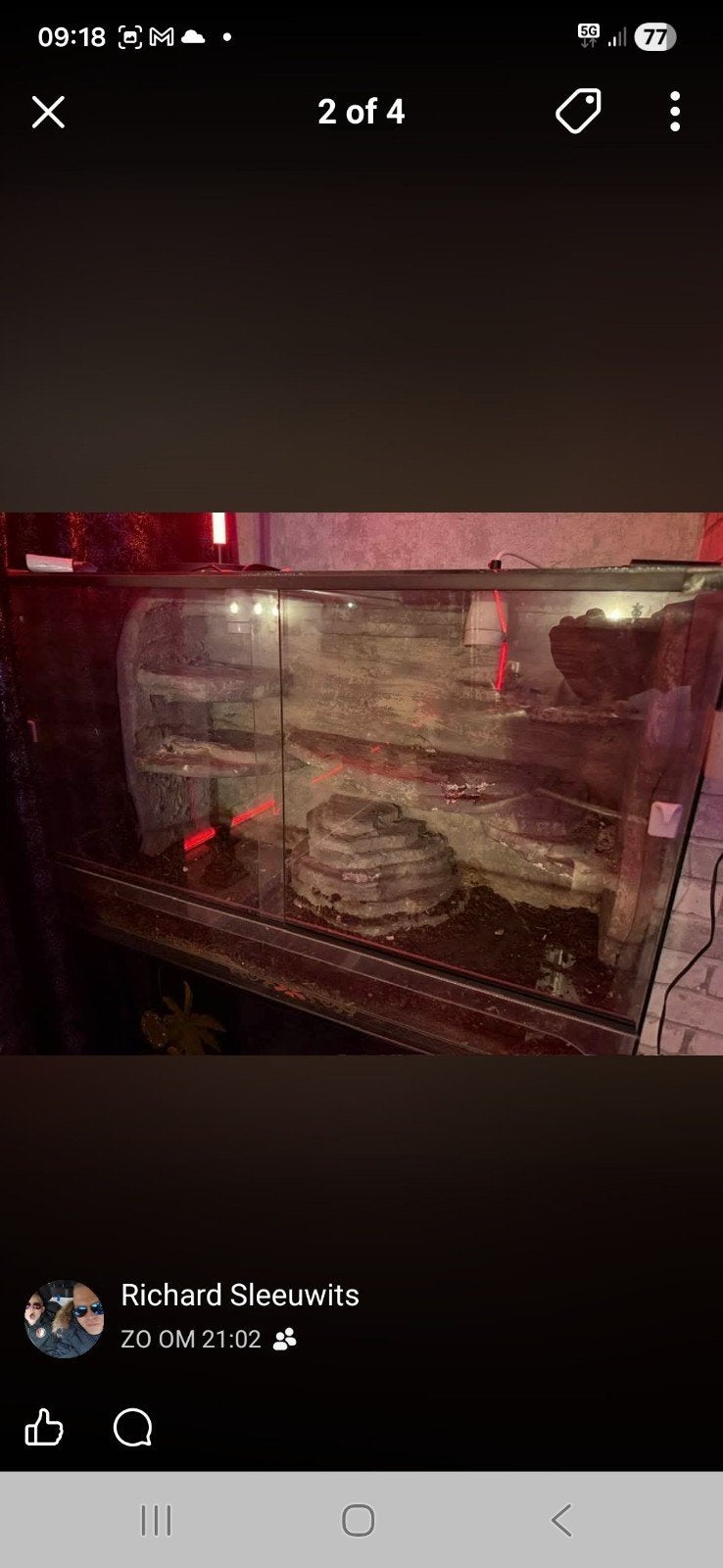 Terrariums, Huis en Inrichting, Ophalen