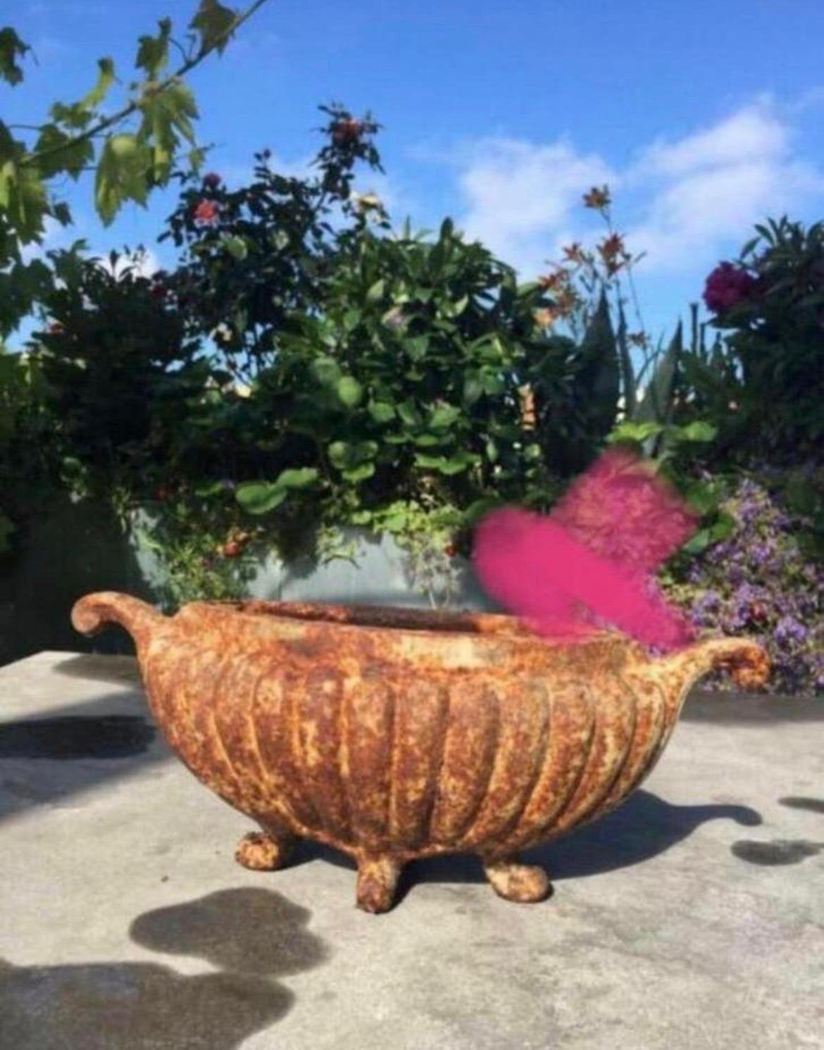 Prachtige Antieke Gietijzeren Jardinière vazen pot decoratie, Ophalen, Gebruikt