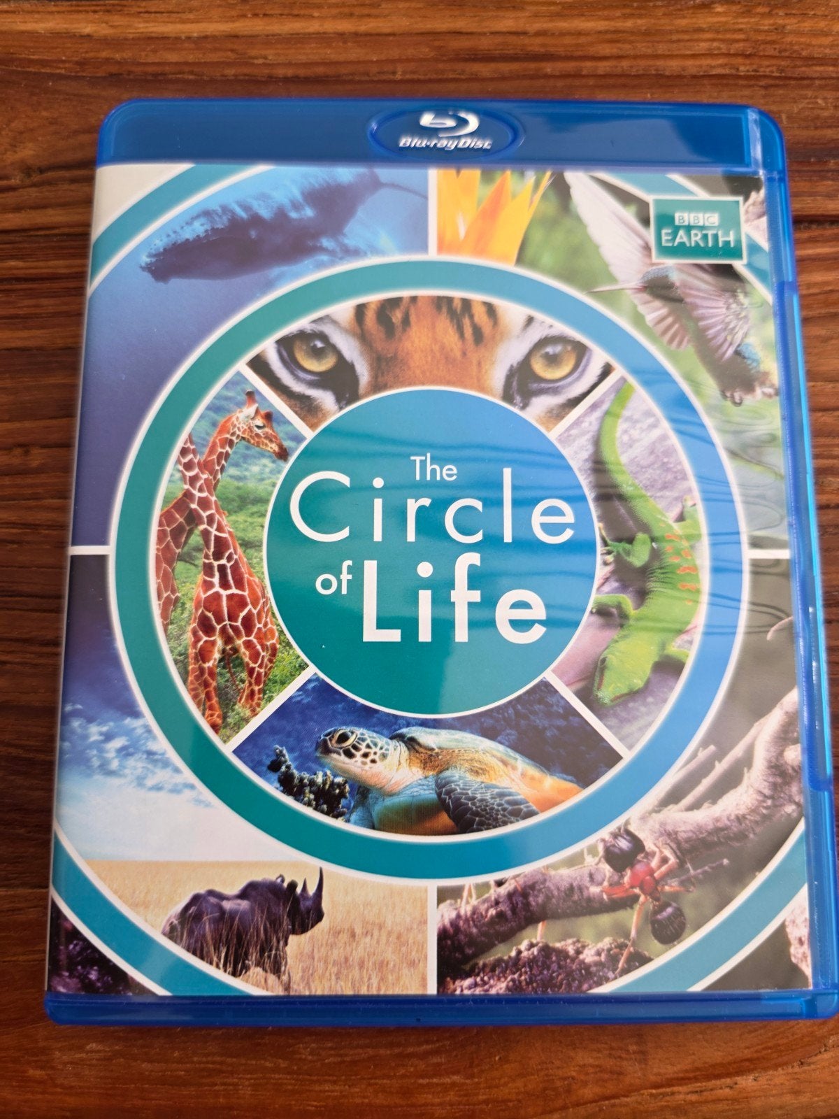 The Circle of Life - BBC Earth Blu-ray Documentaire, Ophalen of Verzenden, Zo goed als nieuw, Documentaire en Educatief