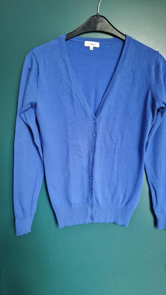 Anni Rolfi vestje maat L  40, Kleding | Dames, Maat 38/40 (M), Blauw, Zo goed als nieuw, Anni Rolfi