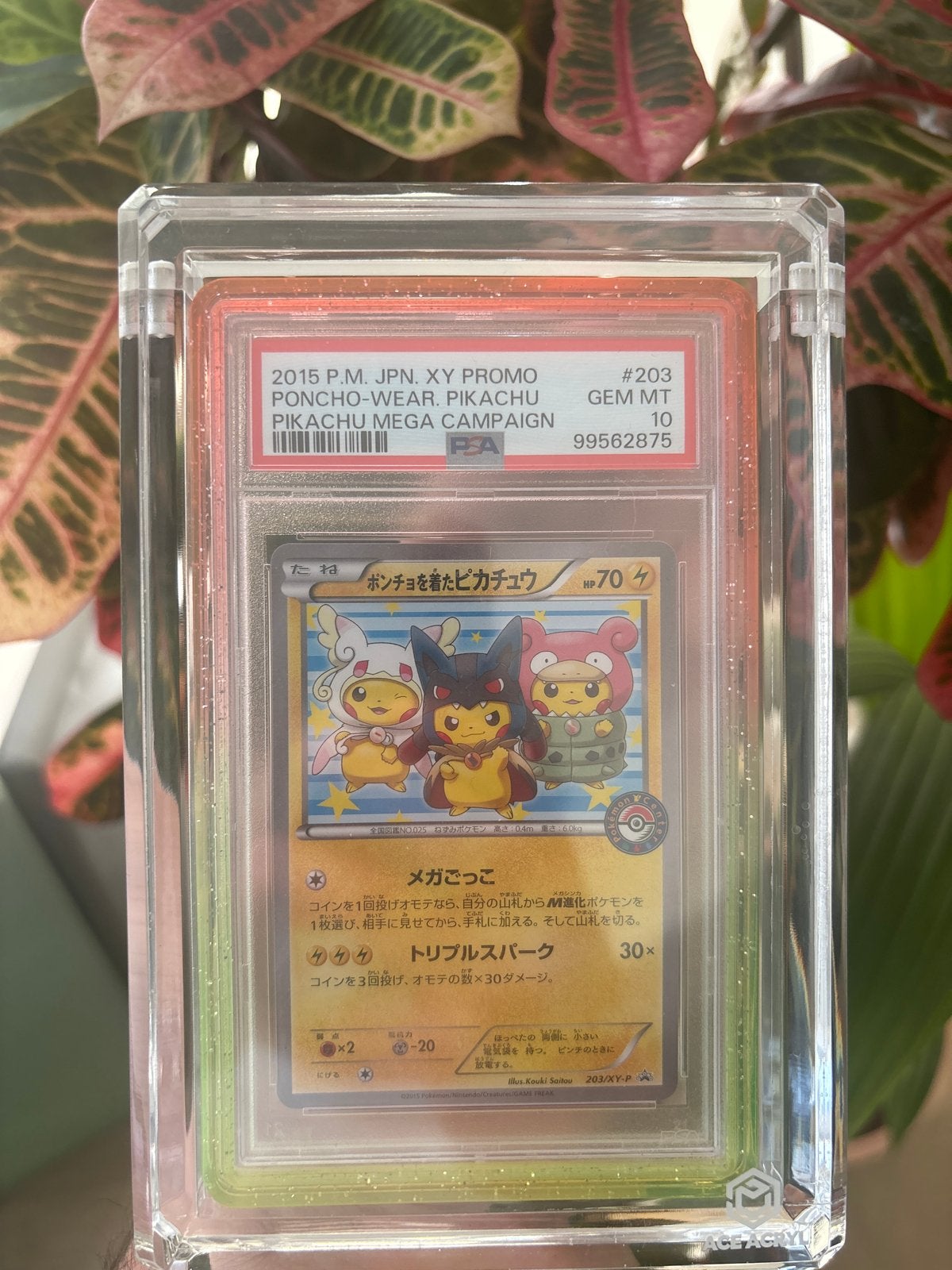 Pikachu Mega Campaign Poncho-Wear PSA 10 Gem Mint, Ophalen of Verzenden, Nieuw, Losse kaart