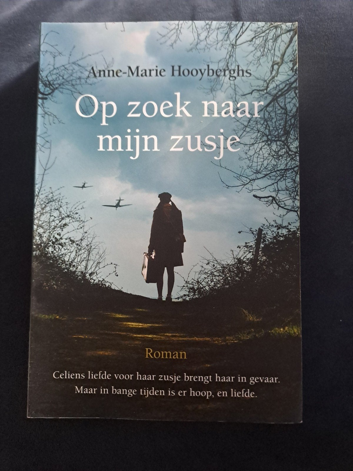 Anne-Marie Hooyberghs - Op zoek naar mijn zusje, Boeken, Ophalen of Verzenden, Zo goed als nieuw, Anne-Marie Hooyberghs