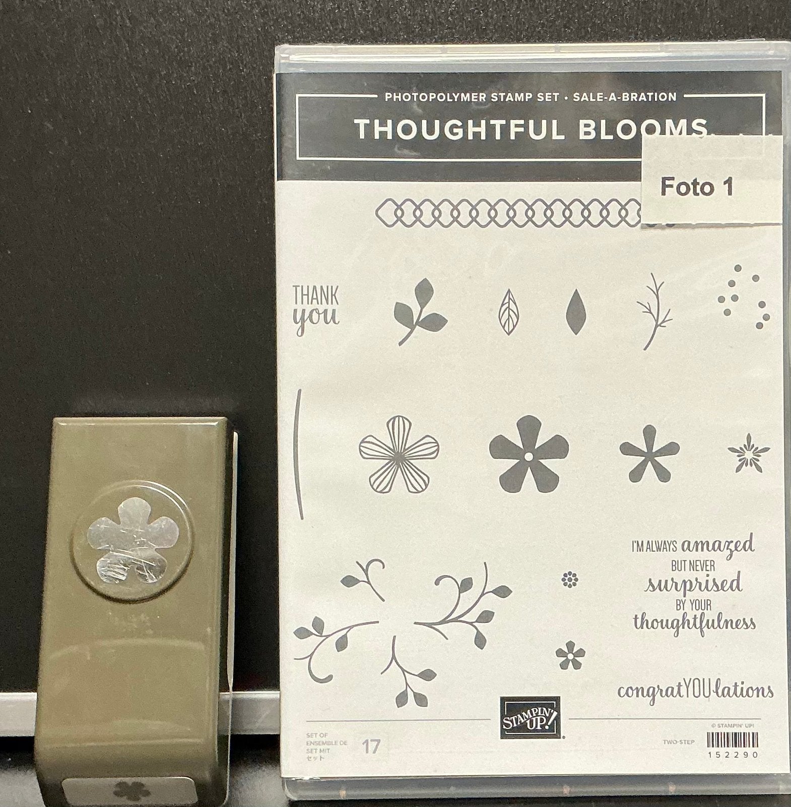 Stampin’Up!  Bundel, stempels met bijbehorende Pons, Verzenden, Zo goed als nieuw, Clearstamp