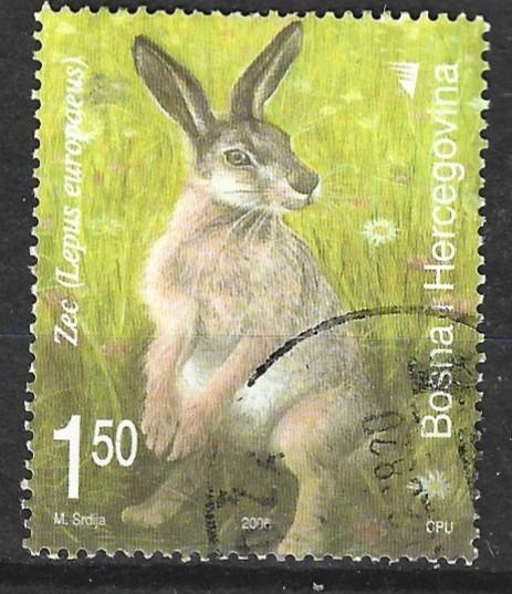 BH 10 - 2000 - Bosnie Herz./Konijn, Verzenden, Overige landen, Gestempeld