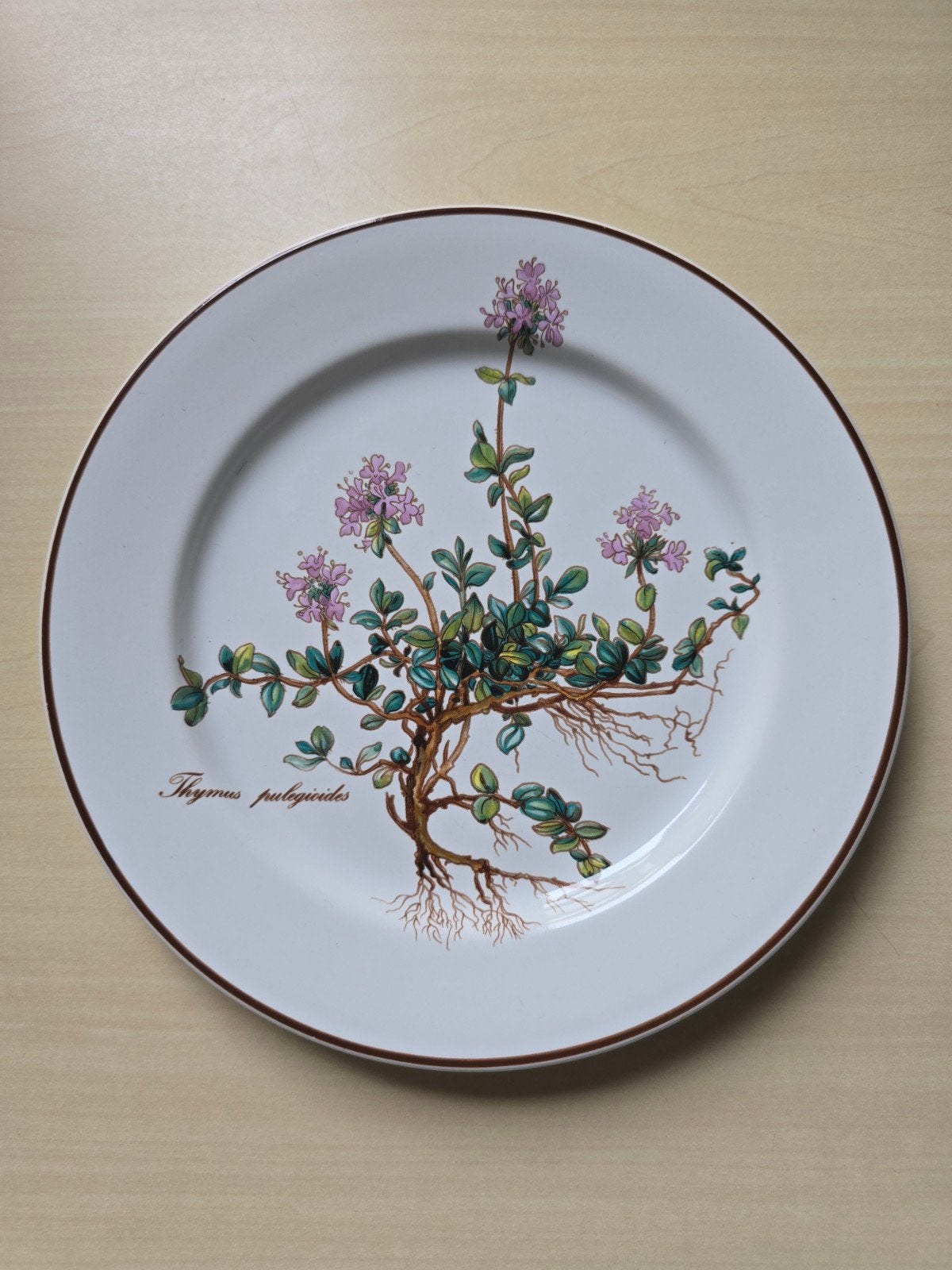 Villeroy & Boch Botanica vitroporselein klein bord, Klassiek, Villeroy & Boch, Ophalen of Verzenden, Zo goed als nieuw
