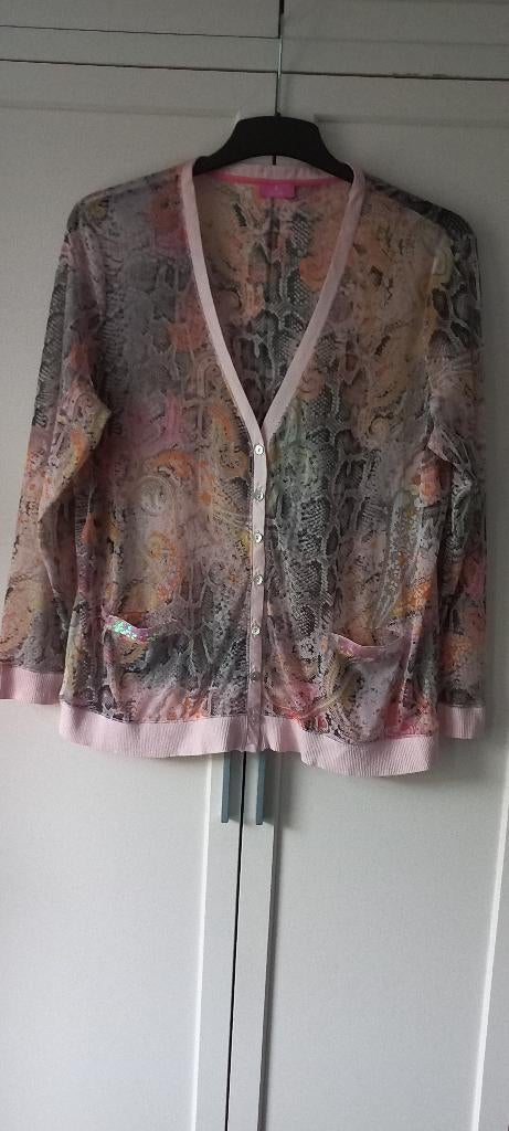 Basler dun vestje zalm-meerkleurig maat 44 zgan, Kleding | Dames, Overige kleuren, Ophalen of Verzenden, Zo goed als nieuw, Lange mouw