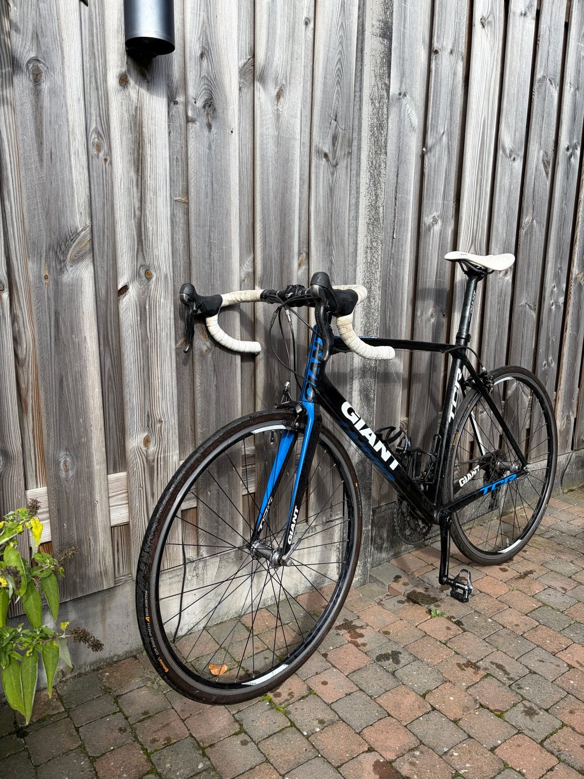Giant TCR Limited racefiets - Maat L - Shimano Ultegra, Ophalen, Gebruikt, Aluminium, Giant