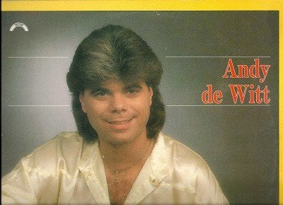 Piraten L.P. (1987) Andy de Witt - Andy de Witt, LP, Gebruikt, Ophalen of Verzenden, Levenslied of Smartlap