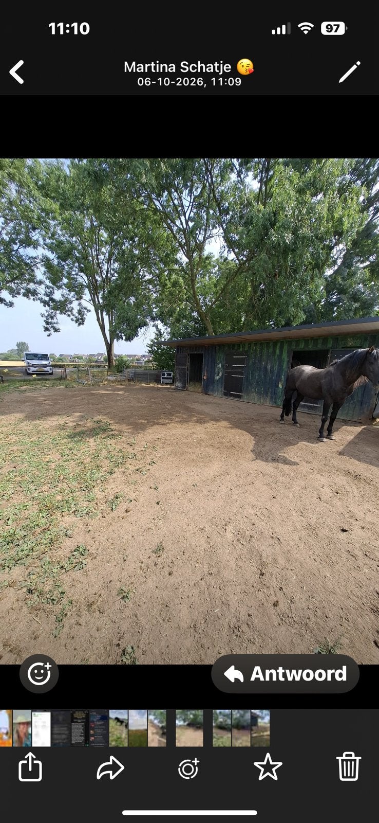 Te huur paarden weiland te Gendt, Dieren en Toebehoren, Weidegang, 2 of 3 paarden of pony's
