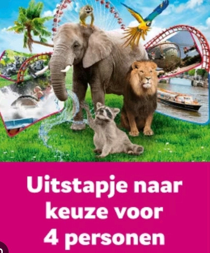Uitstapje naar keuze voor 4 personen, Drie personen of meer, Ticket of Toegangskaart