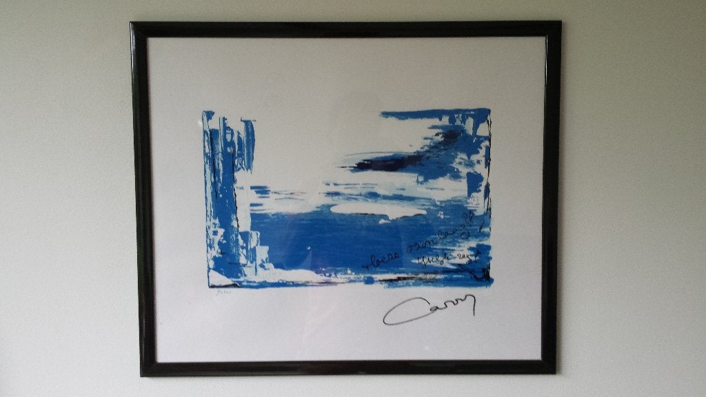 Zeefdruk Carry Tefsen (Zeg 'ns AAAAA) genummerd, Antiek en Kunst, Kunst | Litho's en Zeefdrukken, Ophalen