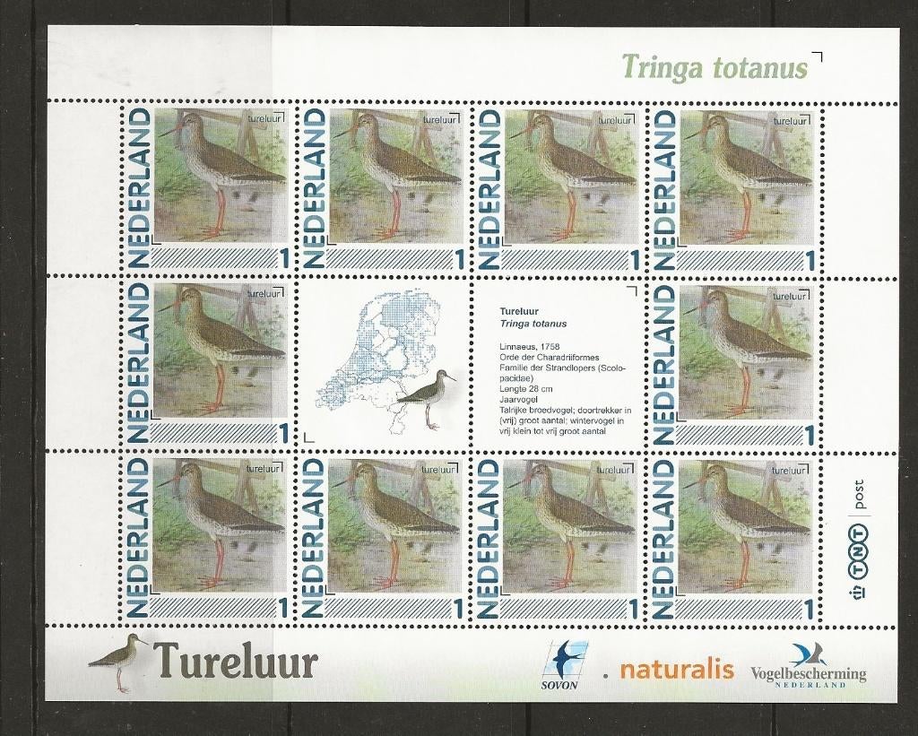 Vel persoonlijke zegels, Vogels Tureluur postfris, Ophalen of Verzenden, Postfris