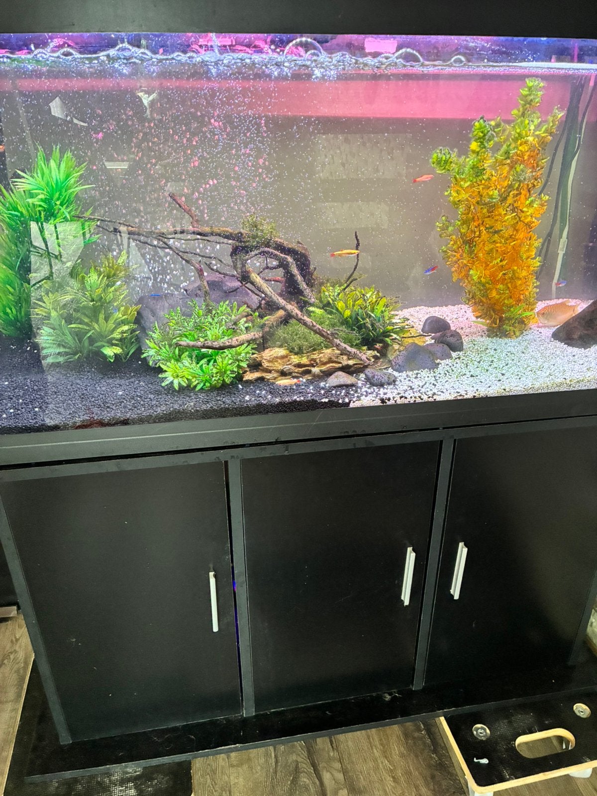Aquarium van het merk ferplast met buitenpomp, Ophalen, Zo goed als nieuw, Leeg aquarium, Overige merken