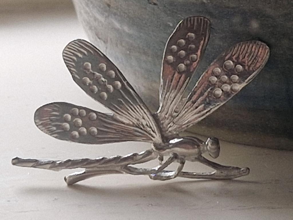 Zilveren Libelle Broche - Elegant en Gedetailleerd, 4 tot 7 cm, Gebruikt, Onbekend@voorbeeld.com, Onbekend