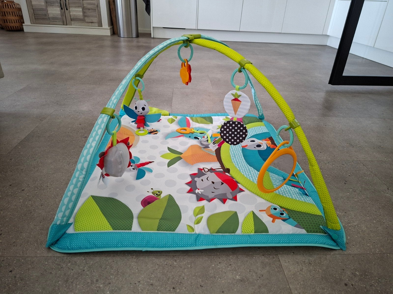 Tiny Love Speelkleed - Nieuw., Ophalen of Verzenden, Nieuw