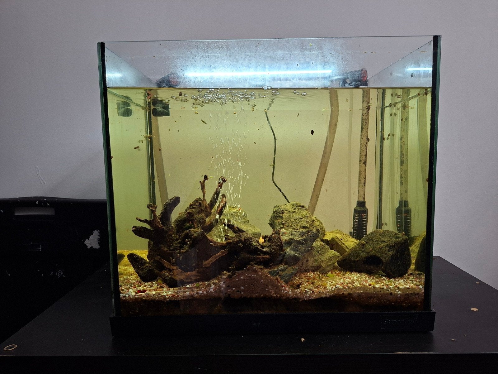 45L Aquarium goedkope compleet – met spoed!, Ophalen, Zo goed als nieuw, Gevuld zoetwateraquarium