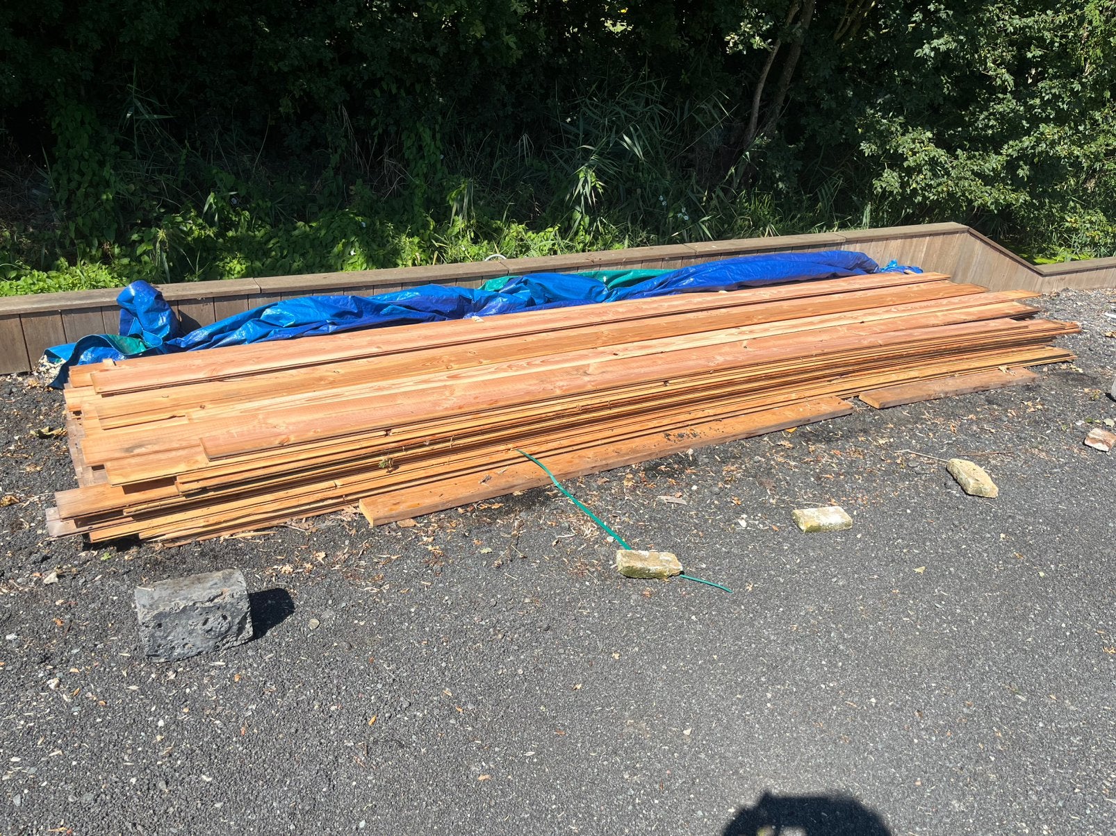 Vuren vellingdelen 5meter lang, Ophalen, Minder dan 25 mm, Nieuw, Plank