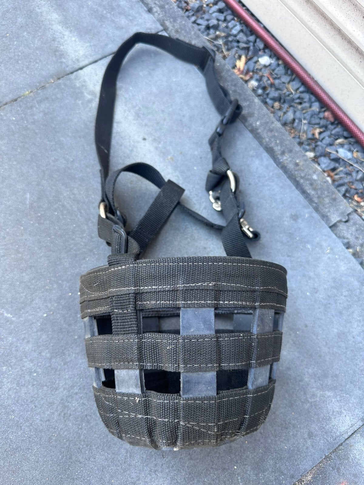 Graasmasker maat pony | Best Friend, Ophalen of Verzenden, Gebruikt, Overige disciplines
