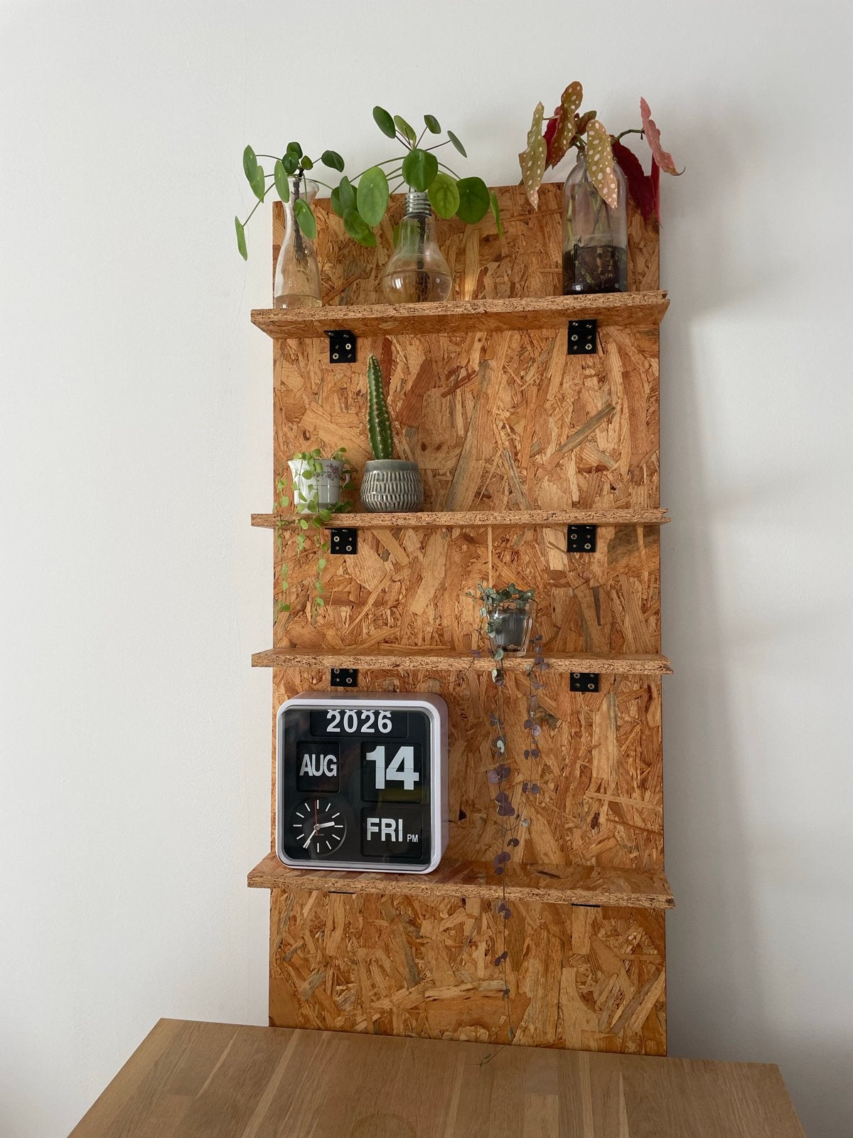 Unieke OSB-wandplank met 4 niveaus, Ophalen, Zo goed als nieuw