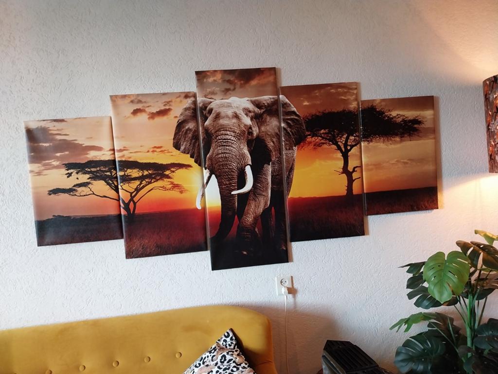 5-luik schilderij olifant zonsondergang, Ophalen