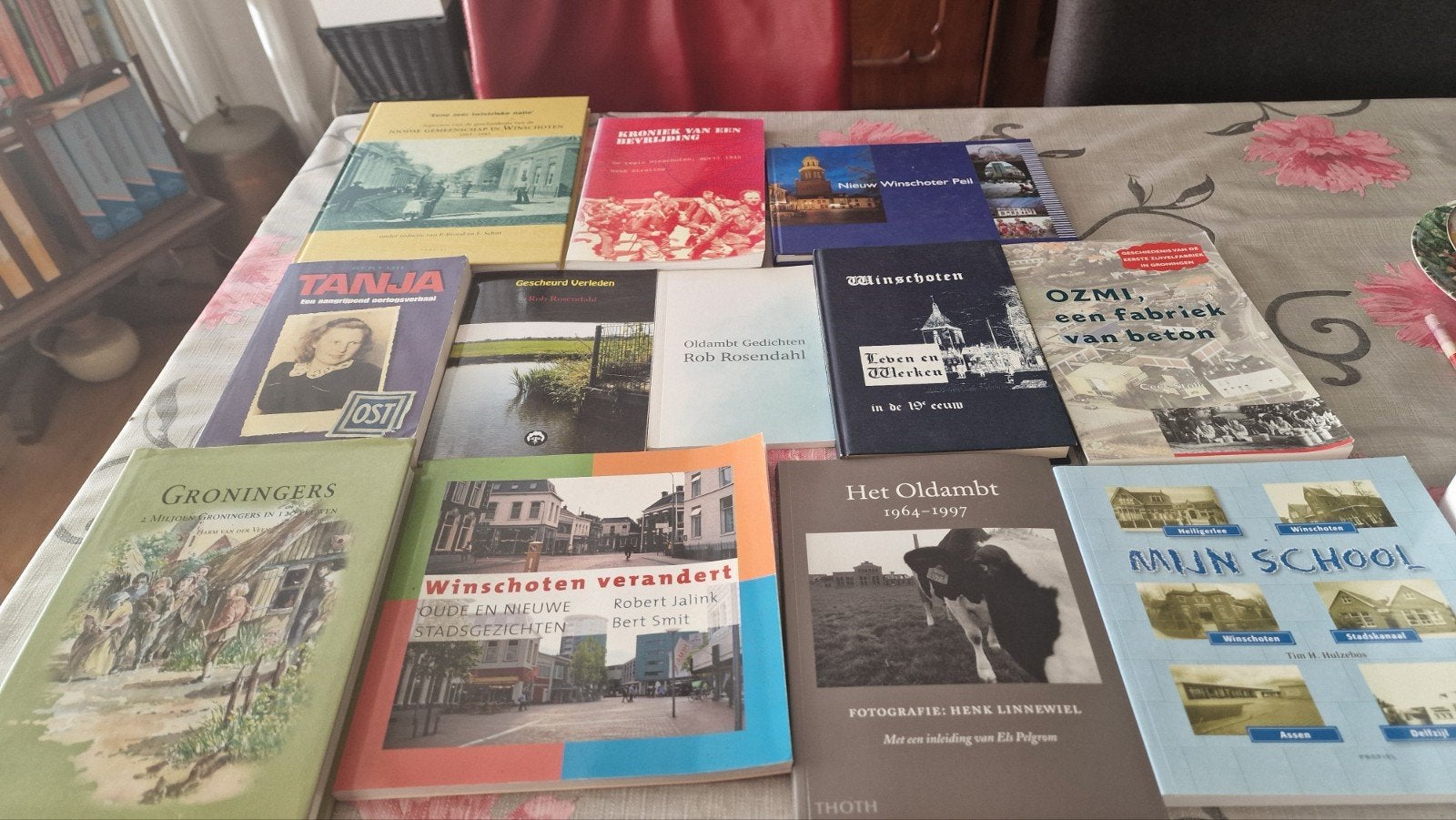 Boeken over Winschoten en omgeving, Boeken, Ophalen of Verzenden, Gelezen