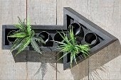 Mooi Wandobject plantenhouder, plantenhanger, zwart metaal, Huis en Inrichting, Ophalen of Verzenden, Nieuw, Zwart, Metaal