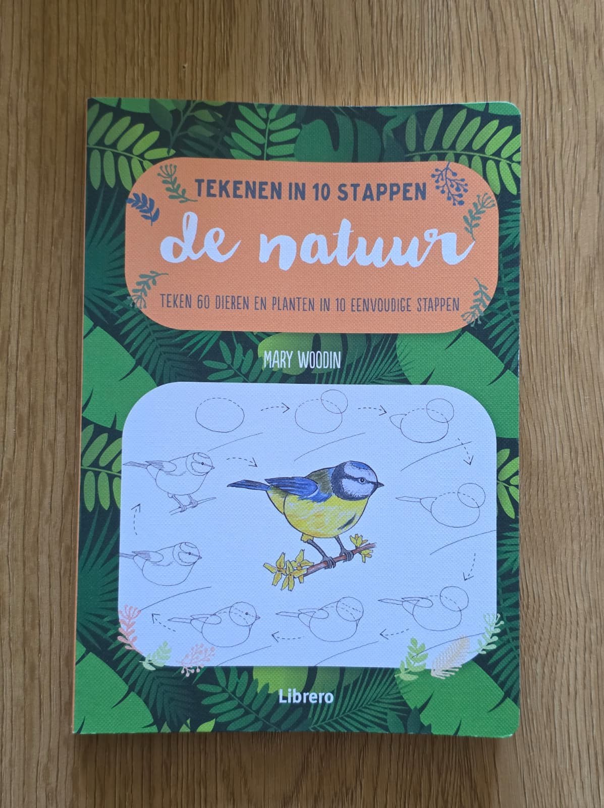 Tekenen in 10 stappen: de natuur - Mary Woodin, Ophalen of Verzenden, Zo goed als nieuw, Boek of Gids