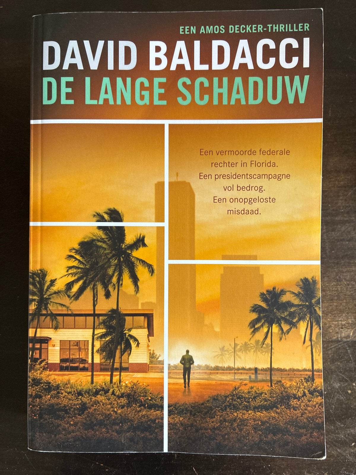 David Baldacci - De Lange Schaduw (Amos Decker-thriller), Boeken, Ophalen of Verzenden, Zo goed als nieuw, Nederland