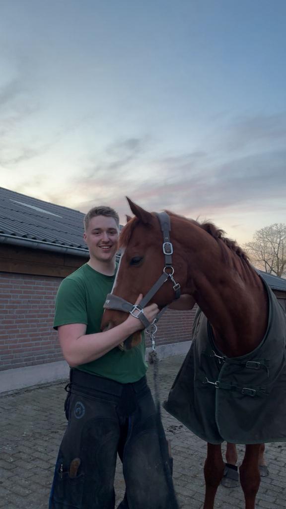 Gediplomeerde Hoefsmederij Mathijs Hoosemans zoekt klanten, Rijbewijs B, Overige uren, Overige branches, Overige vormen