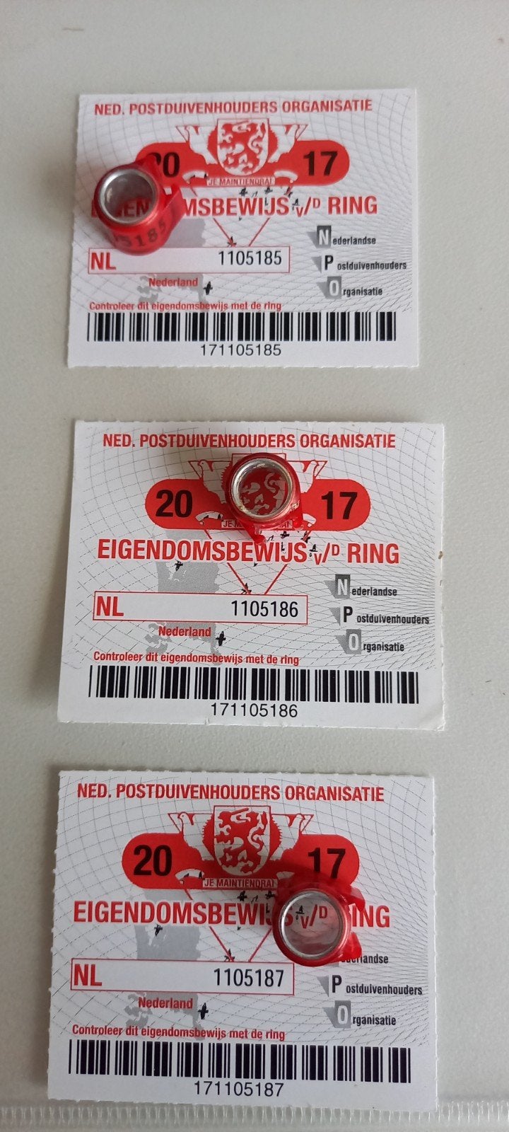 3 x voetring met bewijs, Meerdere dieren, Postduif