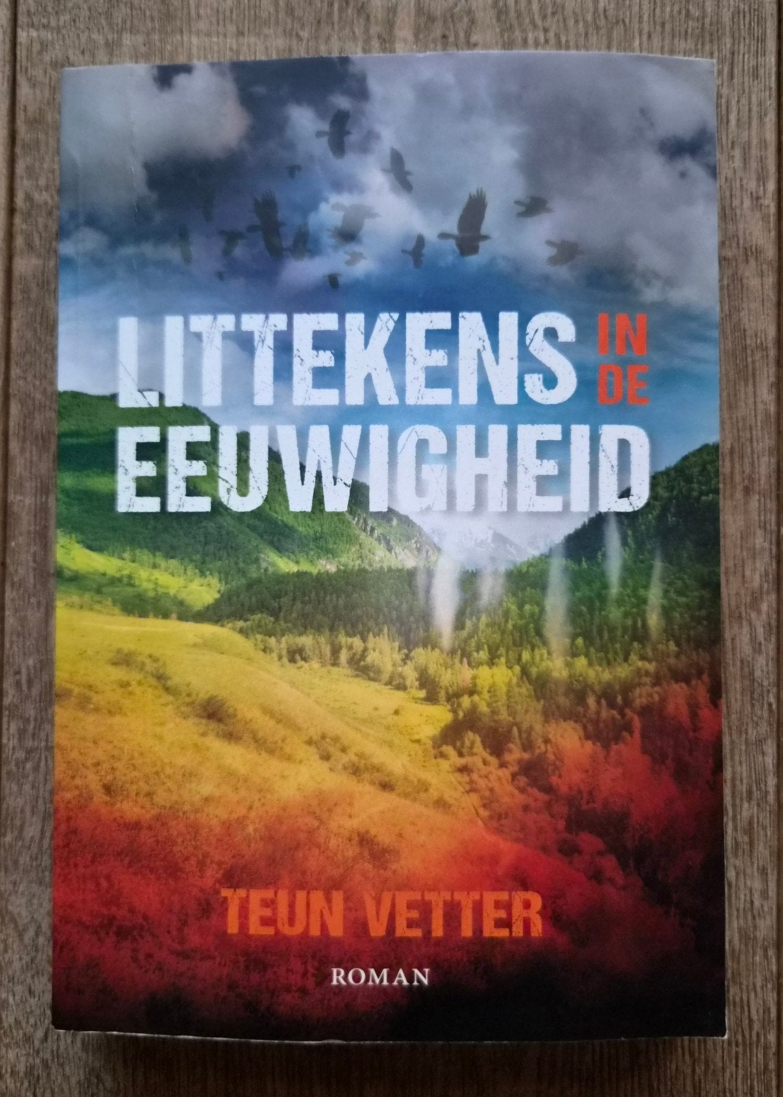 Littekens in de Eeuwigheid - Teun Vetter (Roman), Ophalen of Verzenden, Zo goed als nieuw, Teun Vetter, Nederland