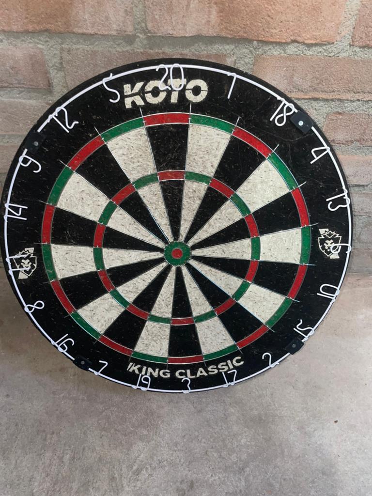 Dartbord inc ophangsysteem (al gemonteerd), Ophalen of Verzenden, Zo goed als nieuw, Dartbord