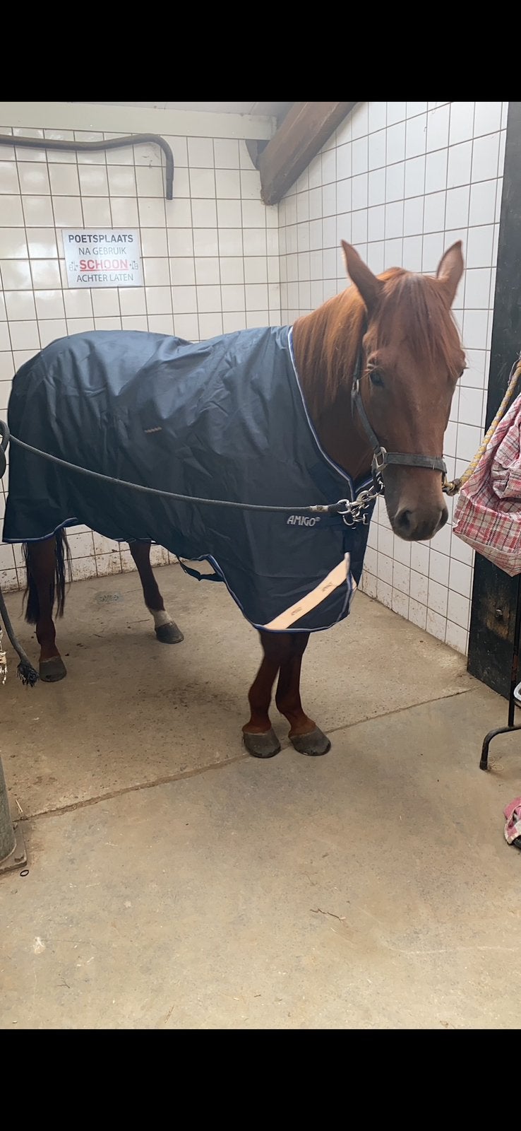 Paarden dekens amigo en rambo maat 145-198, Ophalen, Zo goed als nieuw