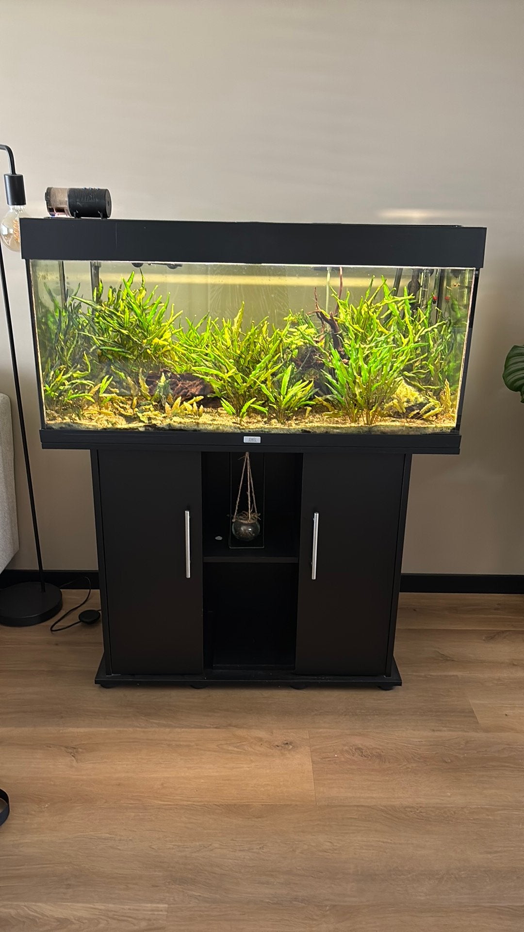 Juwel Aquarium 180liter, Gebruikt, Ophalen of Verzenden, Leeg aquarium, Juwel