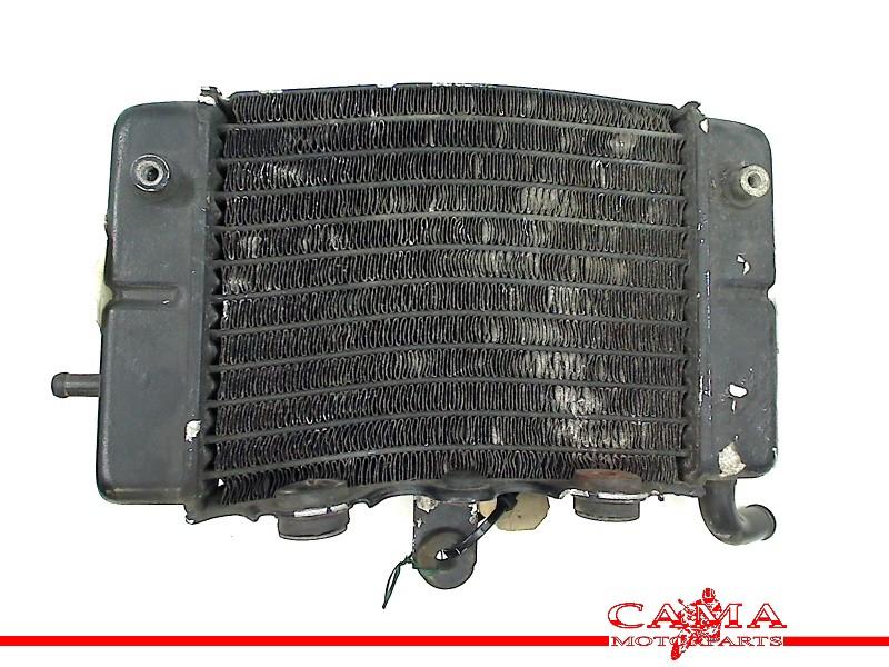 Radiateur Honda XL 600 V Transalp 1991-1993 (XL600V PD06), Honda, Gebruikt, Hanauer Landstraße  222-224, Frankfurt am Main 60314, , Duitsland