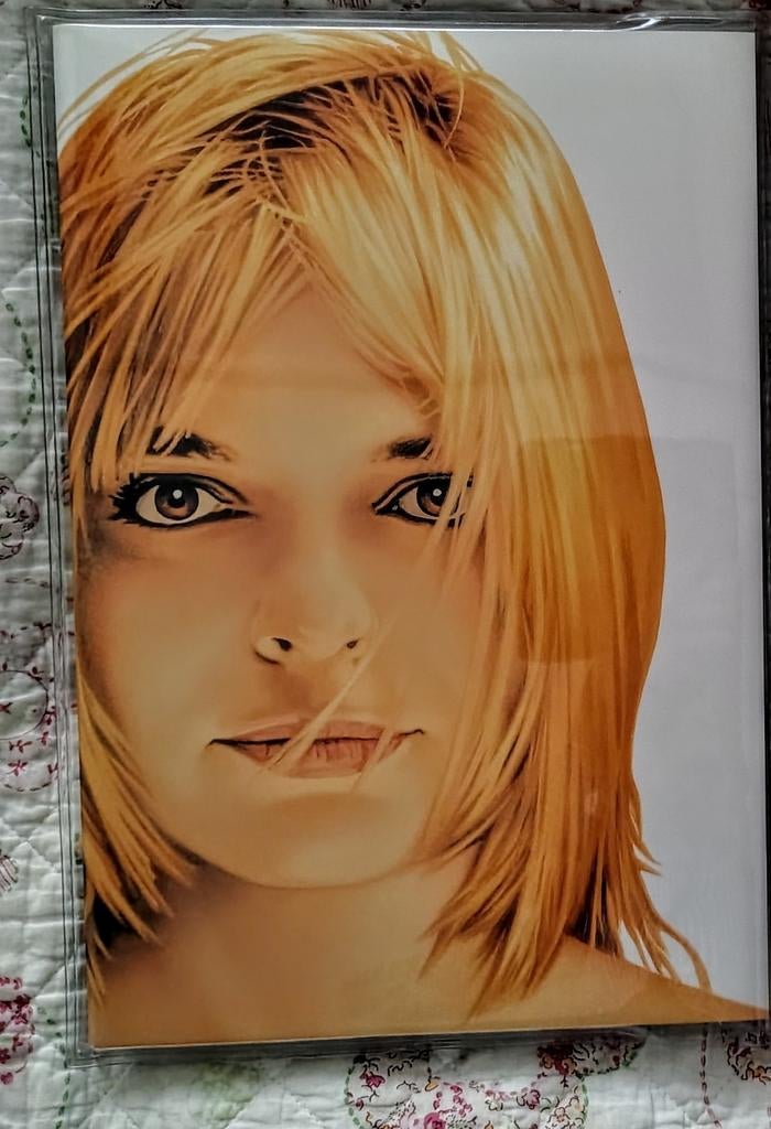 France Gall Evidemment 13CD+1DVD Box Unieke Uitgave, Ophalen of Verzenden, Zo goed als nieuw