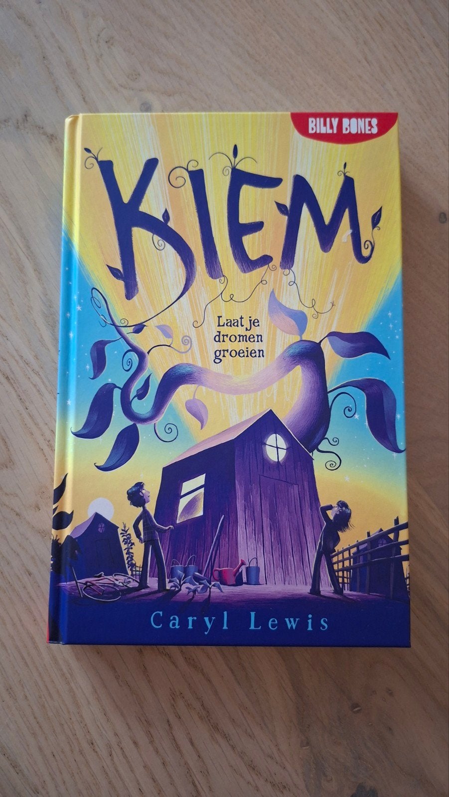 Kiem: Laat je dromen groeien - Caryl Lewis (Billy Bones), Boeken, Ophalen of Verzenden, Zo goed als nieuw, Caryl Lewis, Fictie