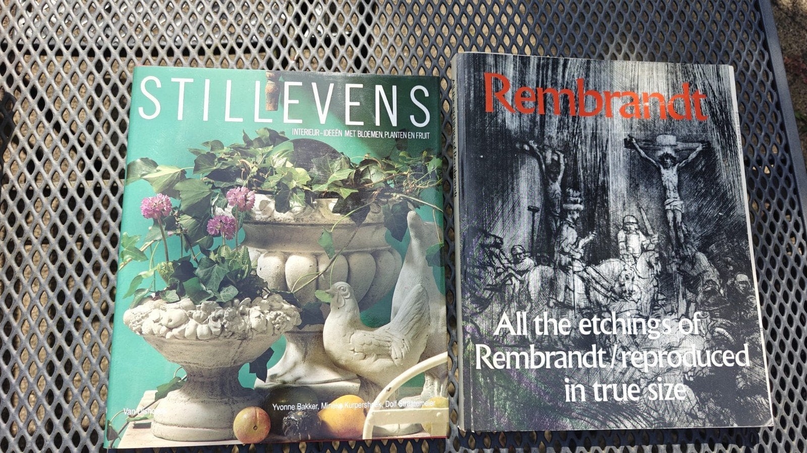 boek stillevens en boek over Rembrandt, Boeken, Ophalen, Zo goed als nieuw, Overige onderwerpen