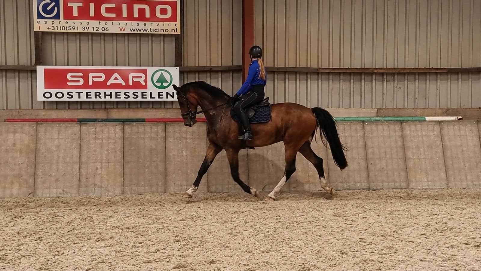 Te koop mooie Gelderse ruin, Ruin, Dressuurpaard, 3 tot 6 jaar