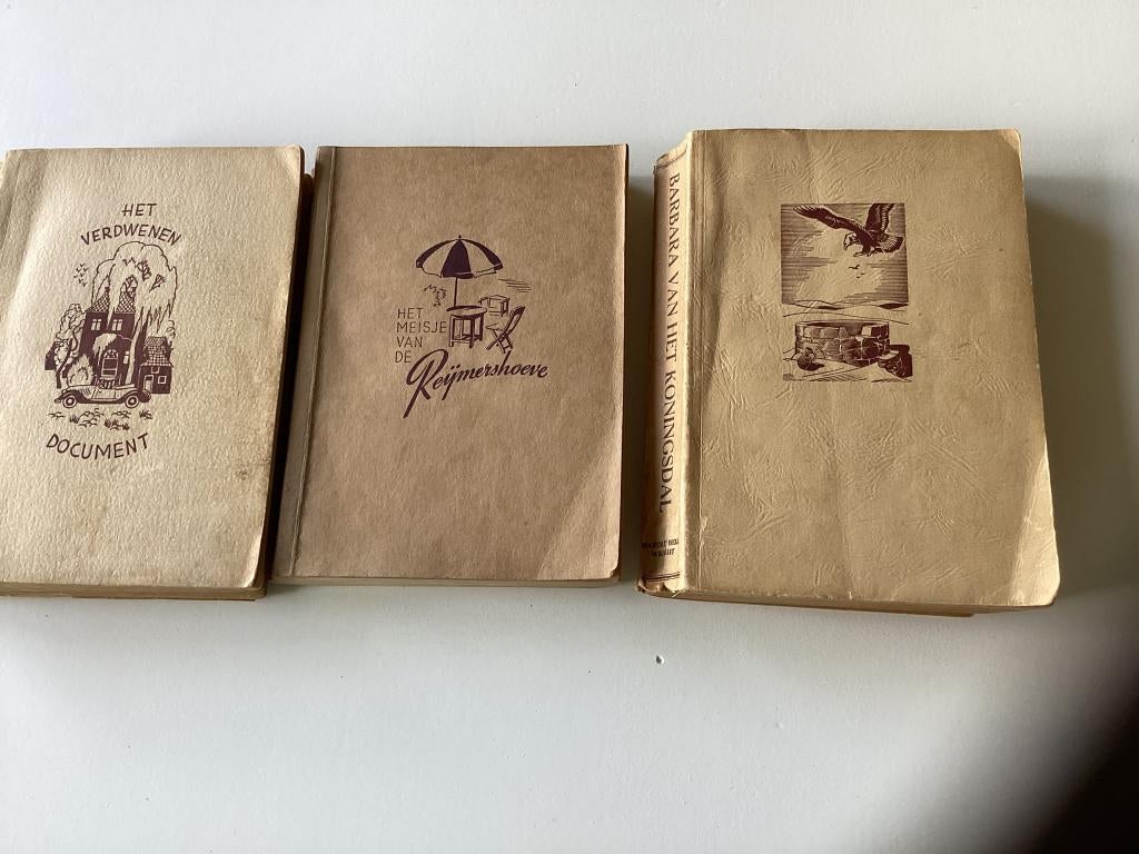 Boeken van Kennemer Haarlem jaren 1930 tot 1945, Boeken, Romans, Ophalen of Verzenden, Gelezen