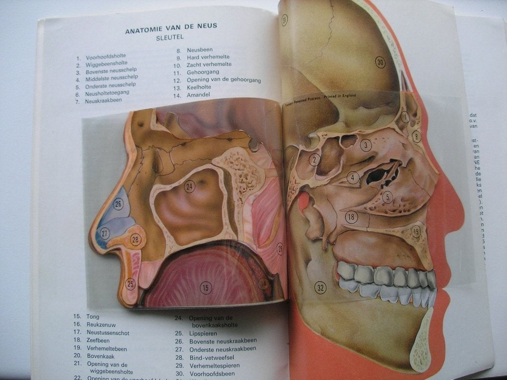 De rol van Polaramine bij Pollinosis of allergische rhinitis, Boeken, Ophalen of Verzenden, Zo goed als nieuw, Ziekte en Allergie