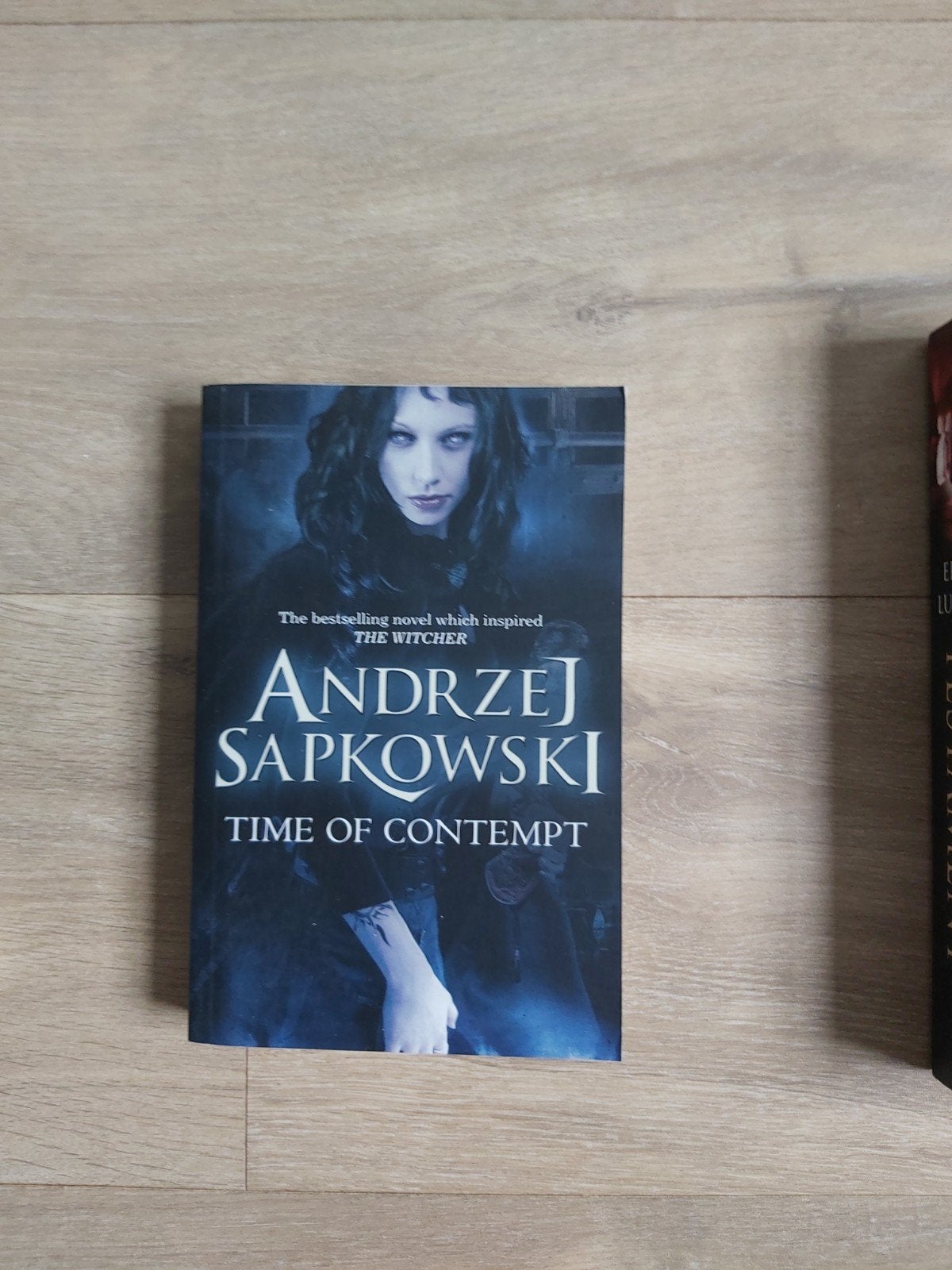 The Witcher: Time of Contempt - Andrzej Sapkowski, Ophalen of Verzenden