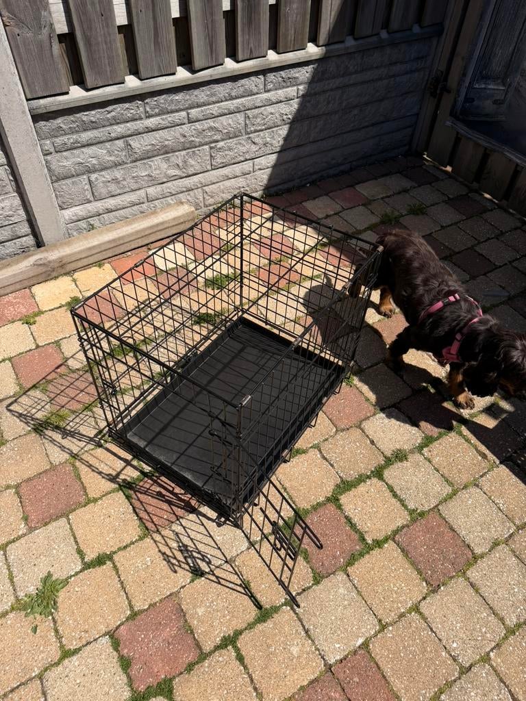 Honden bench, Ophalen, Zo goed als nieuw, Minder dan 75 cm, Minder dan 65 cm