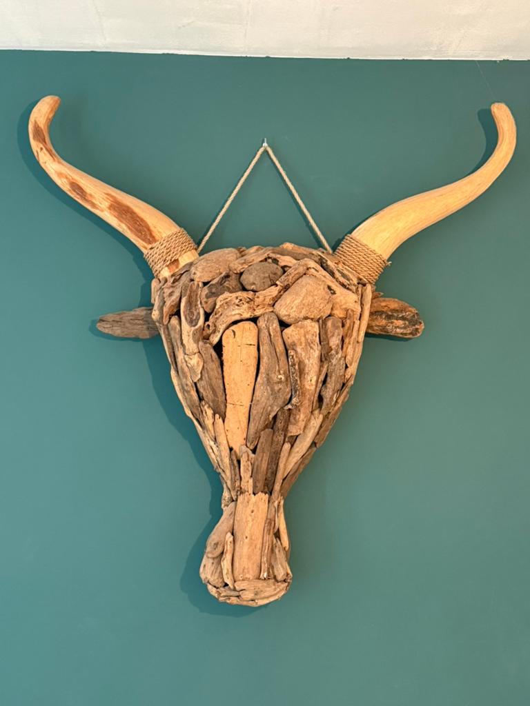 Buffel kop van drijfhout, Huis en Inrichting, Woonaccessoires | Wanddecoraties, Ophalen, Zo goed als nieuw