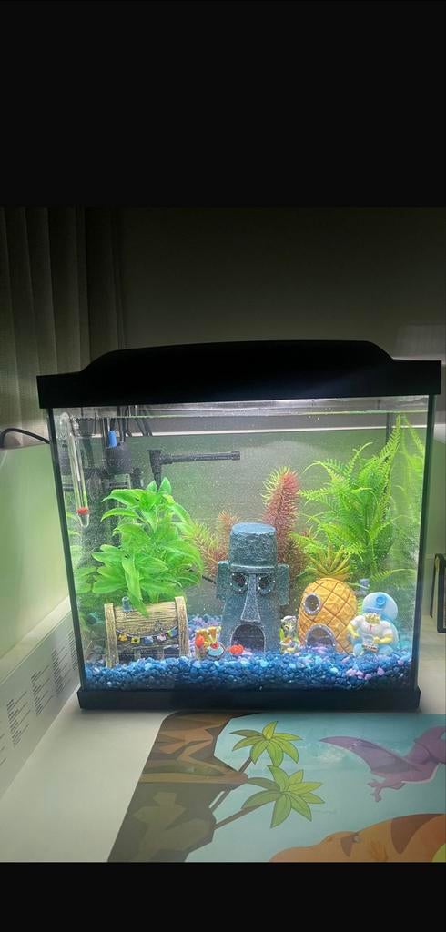 Aquarium met alle bijbehoren, Ophalen of Verzenden, Leeg aquarium