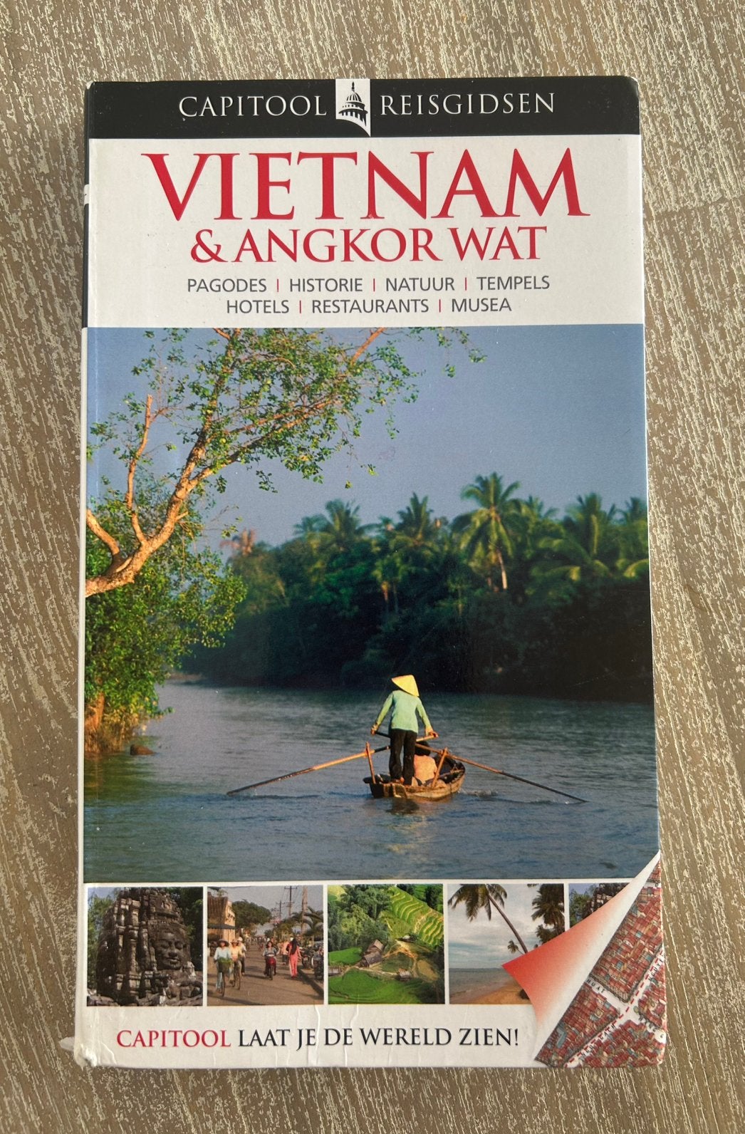 Dana Healy - Vietnam & Angkor Wat, Boeken, Gelezen, Capitool, Ophalen of Verzenden, Reisgids of -boek