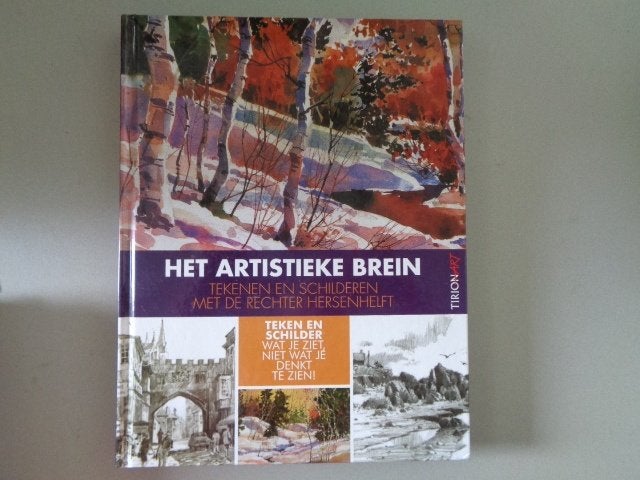 Het artistieke brein - Tekenen en schilderen met de rechter, Boeken, Hobby en Vrije tijd, Zo goed als nieuw, Tekenen en Schilderen