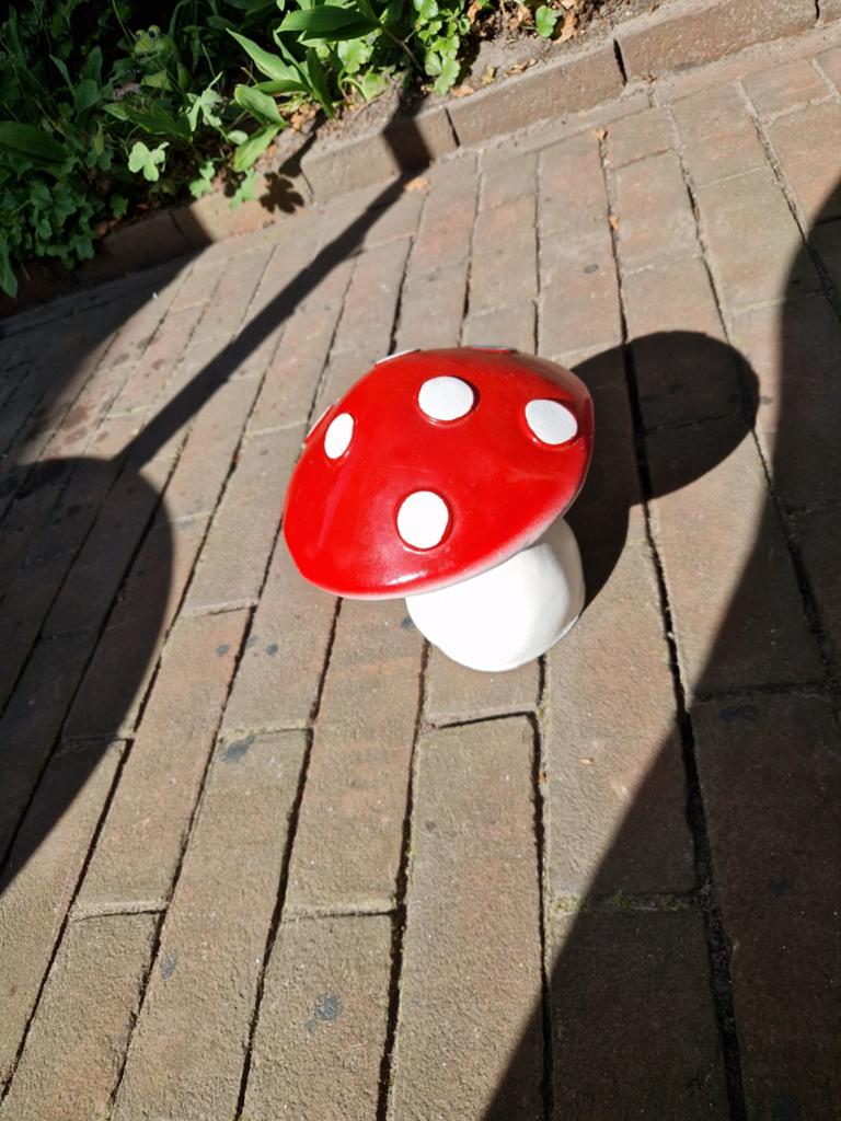 PADDENSTOEL, Tuin en Terras, Ophalen of Verzenden
