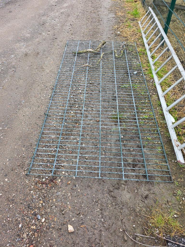 Hekwerk dubbelstaaf plus sierhekwerk, Ophalen, Met poort, Dubbelstaafmat hekwerk, Zo goed als nieuw